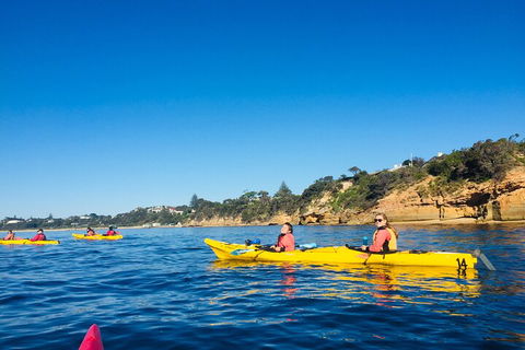 Mornington Peninsula Kayak Coastline Tour Of Dolphin Sanctuary - Hervey Bay Accommodation 1