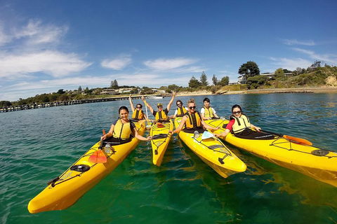 Mornington Peninsula Kayak Coastline Tour Of Dolphin Sanctuary - Hervey Bay Accommodation 2