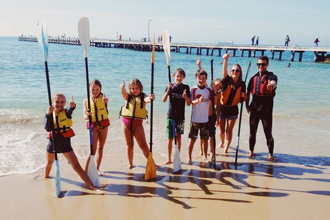 Mornington Peninsula Kayak Coastline Tour Of Dolphin Sanctuary - Hervey Bay Accommodation 3