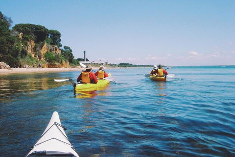 Mornington Peninsula Kayak Coastline Tour Of Dolphin Sanctuary - Hervey Bay Accommodation 5