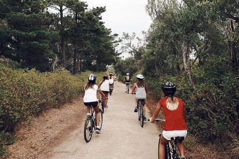 Self-Guided Point Nepean National Park Bike Hire - Hervey Bay Accommodation 3