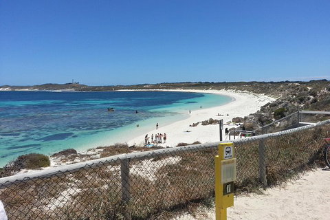 Wave Rock, Pinnacles And Rottnest One Day Aeroplane Tour - Hervey Bay Accommodation 2