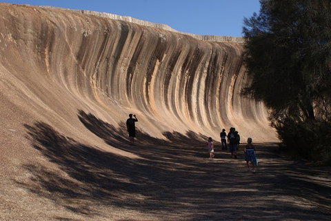 Wave Rock, Pinnacles And Rottnest One Day Aeroplane Tour - Hervey Bay Accommodation 4