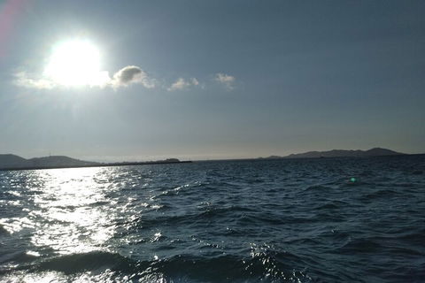 Townsville Small Group Early Morning Sailing Cruise Boat Tour Charter Hire - Hervey Bay Accommodation 4
