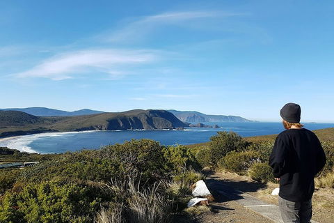 Small-Group Day Trip From Hobart To Bruny Island - Tourism Hervey Bay 0