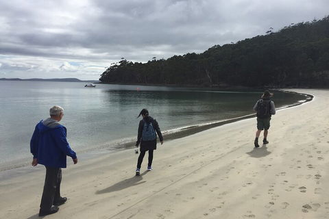Small-Group Day Trip From Hobart To Bruny Island - Tourism Hervey Bay 1