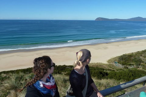 Small-Group Day Trip From Hobart To Bruny Island - Tourism Hervey Bay 3