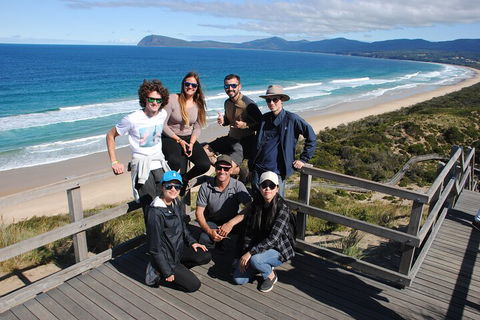 Small-Group Day Trip From Hobart To Bruny Island - Tourism Hervey Bay 4