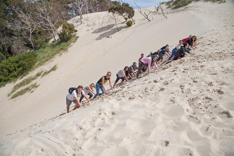 6-Day Tasmanian Explorer Adventure Tour From Hobart - Hervey Bay Accommodation 2