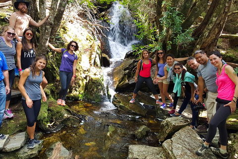 7-Day Super Value Tour Of Tasmania: Explore Tasmania's West And East Coasts - Tourism Hervey Bay 2