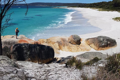 2-Day Tas East Coast Escape Tour Including Bay Of Fires, Wineglass Bay & Devils - Hervey Bay Accommodation 4