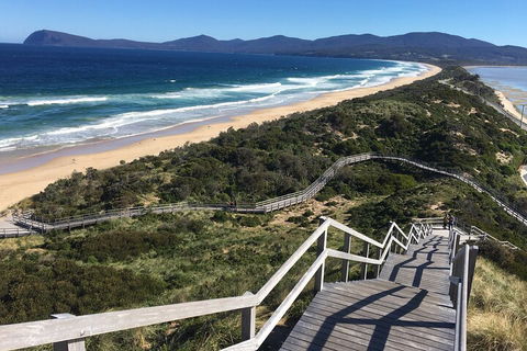 4-Day Fabulous Tasmania Tour: Wineglass Bay, Port Arthur, Devils & Bruny Island - Hervey Bay Accommodation 5
