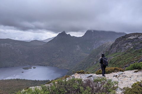5-Day Best Of Tasmania Tour From Hobart - Tourism Hervey Bay 3
