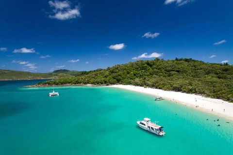 Whitehaven Beach And Hill Inlet | Awesome Beach BBQ | Family Friendly - Hervey Bay Accommodation 3