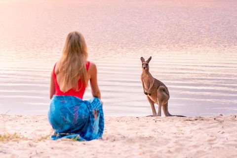Cruise 'n' Canoe To Australia's Everglades - Hervey Bay Accommodation 5