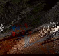 Alice Springs Desert Park Nocturnal Tour - Tourism Hervey Bay