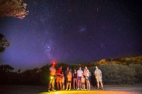 Alice Springs Desert Park Nocturnal Tour - Tourism Hervey Bay 2