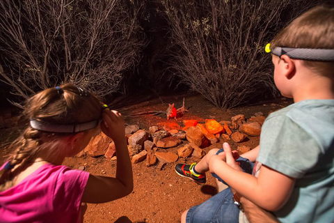 Alice Springs Desert Park Nocturnal Tour - Tourism Hervey Bay 4