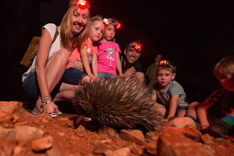 Alice Springs Desert Park Nocturnal Tour - Tourism Hervey Bay 5