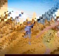 Full-Day Pinnacles Desert and Yanchep National Park Tour From Perth - Hervey Bay Accommodation