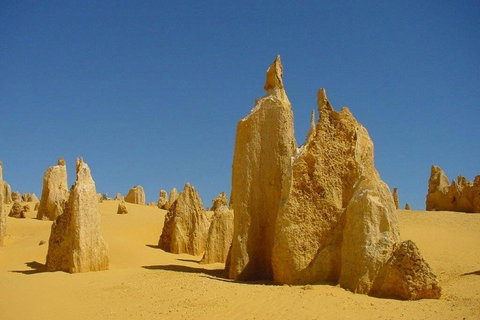 Half Day Pinnacles Sunset Tour - Hervey Bay Accommodation 2