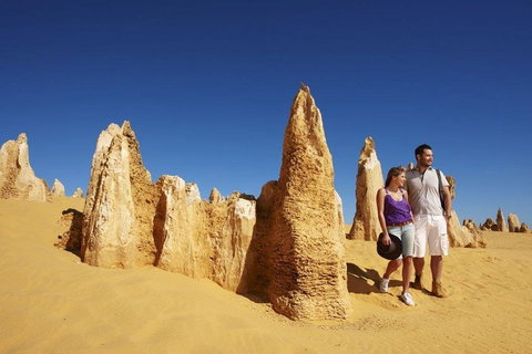 Half Day Pinnacles Sunset Tour - Hervey Bay Accommodation 4