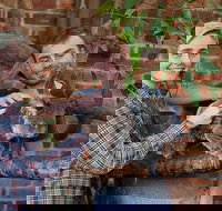 Private Tour Blue Mountains Day Trip from Sydney - Hervey Bay Accommodation