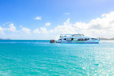 Whitehaven Beach And Daydream Island Cruise - Hervey Bay Accommodation 2