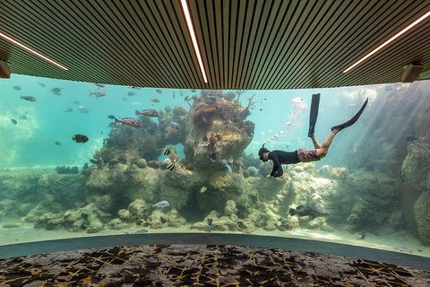 Whitehaven Beach And Daydream Island Cruise - Hervey Bay Accommodation 4