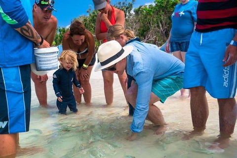 Whitehaven Beach And Hamilton Island Cruise - Tourism Hervey Bay 1