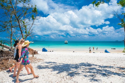 Whitehaven Beach Half-Day Cruises - Hervey Bay Accommodation 1