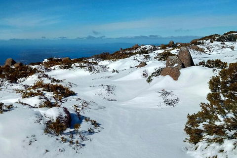 Mount Wellington Ultimate Experience Tour From Hobart - Tourism Hervey Bay 1