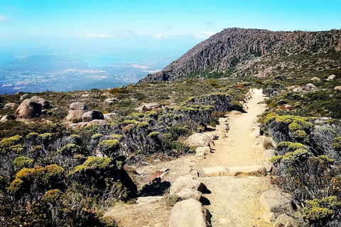 Mount Wellington Ultimate Experience Tour From Hobart - Tourism Hervey Bay 5