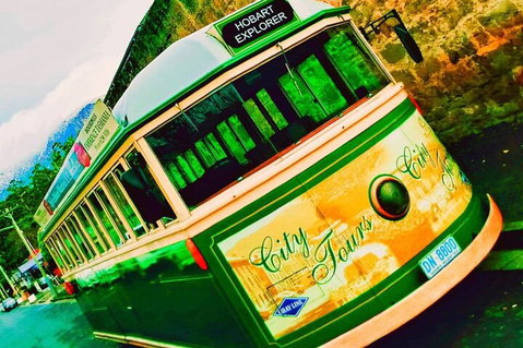 Hobart Half-Day Sightseeing Coach Tram Tour - Hervey Bay Accommodation 5
