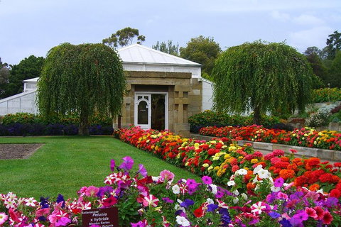 Hobart City Sightseeing Tour Including MONA Admission - Hervey Bay Accommodation 0