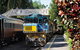 Kuranda Rainforest Station, Scenic Railway And Skyrail Tour - thumb 1