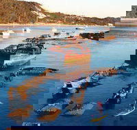 Adventure Moreton Island Wrecks Adventure Package - Hervey Bay Accommodation