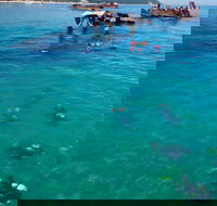 Adventure Moreton Island Scuba Dive Tour - Hervey Bay Accommodation