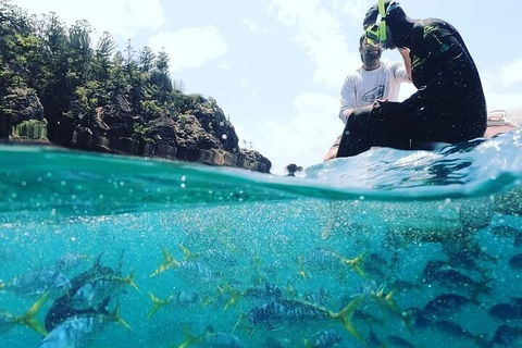 2 Night Small Group Whitsundays Sailing Adventure Aboard Mandrake - Hervey Bay Accommodation 5