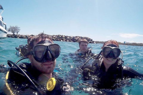 Wave Break Island Scuba Diving On The Gold Coast - Tourism Hervey Bay 0