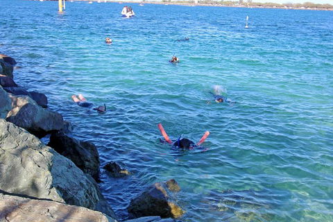 Wave Break Island Scuba Diving On The Gold Coast - Tourism Hervey Bay 1
