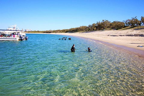 Wave Break Island Scuba Diving On The Gold Coast - Tourism Hervey Bay 4