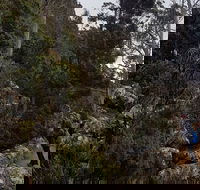 kunanyi / Mt. Wellington Guided Hiking Tour - Tourism Hervey Bay