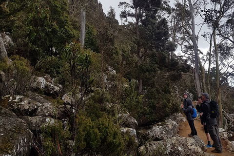 Kunanyi / Mt. Wellington Guided Hiking Tour - Hervey Bay Accommodation 0
