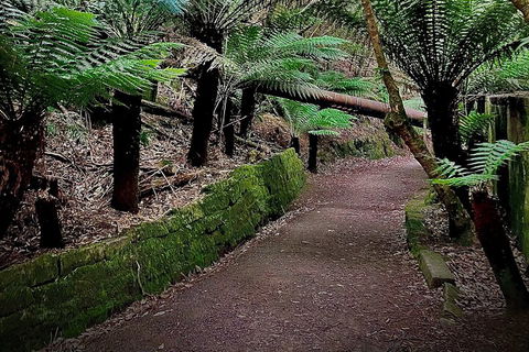 Kunanyi / Mt. Wellington Guided Hiking Tour - Hervey Bay Accommodation 1