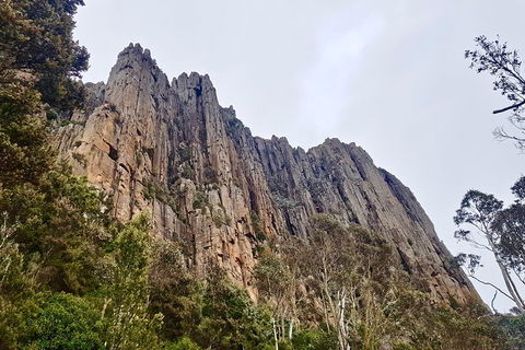 Kunanyi / Mt. Wellington Guided Hiking Tour - Hervey Bay Accommodation 4