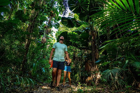 Full Day Daintree Rainforest And Mossman Gorge Tour - Tourism Hervey Bay 0