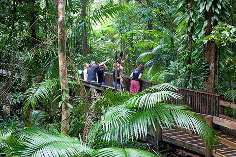 Full Day Daintree Rainforest And Mossman Gorge Tour - Tourism Hervey Bay 1