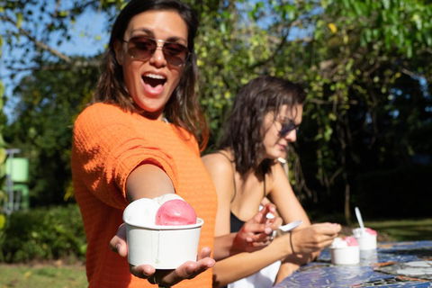 Full Day Daintree Rainforest And Mossman Gorge Tour - Tourism Hervey Bay 3