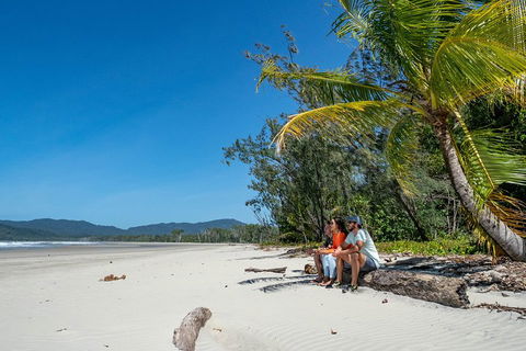 Full Day Daintree Rainforest And Mossman Gorge Tour - Tourism Hervey Bay 4